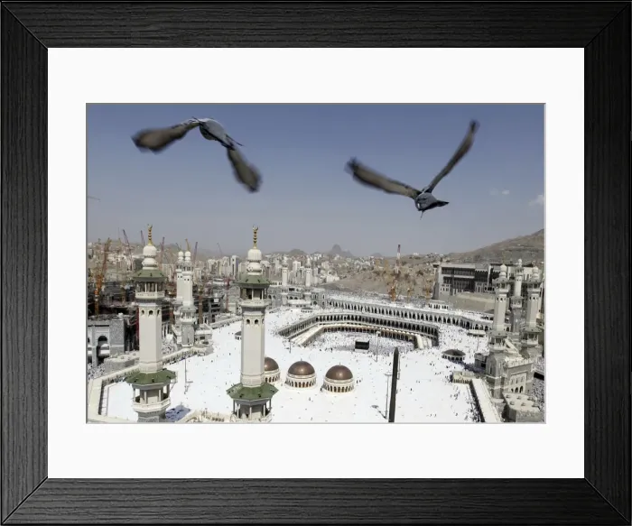 Framed Print : Pigeons fly over the Grand Mosque at Friday prayers during the annual haj pilgrimage in Framed Print : Pigeons fly over the Grand Mosque at Friday prayers during the annual haj pilgrimage in