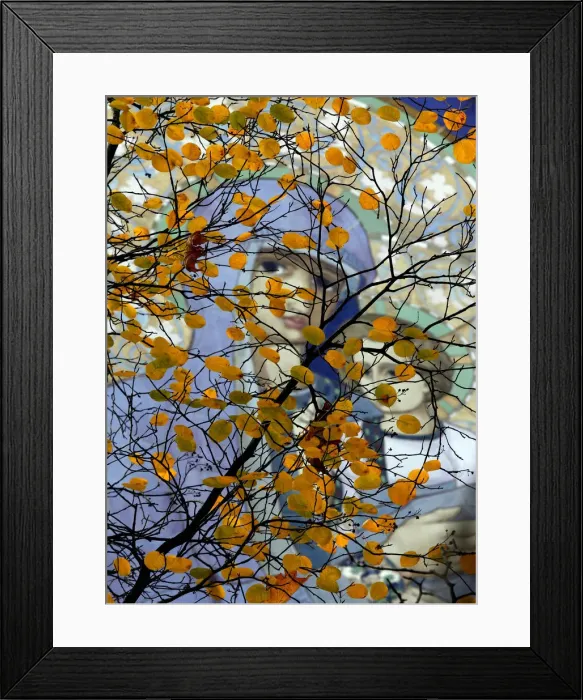 Framed Print : Fresco is seen through autumn leaves in a park in St. Petersburg Framed Print : Fresco is seen through autumn leaves in a park in St. Petersburg