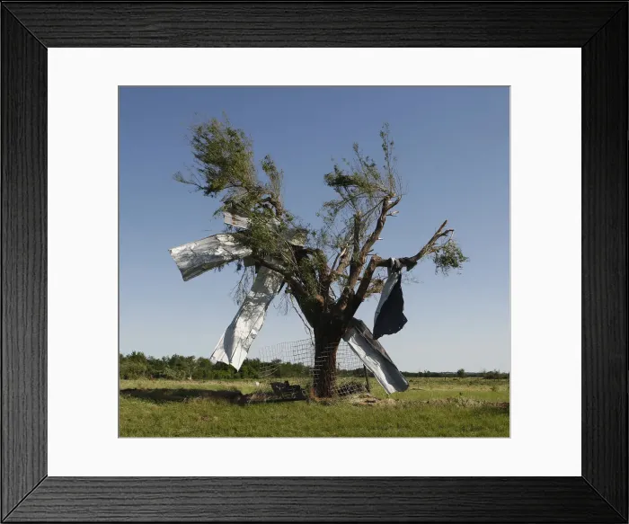 Framed Print : Sheet metal is pictured stuck in a tree along Route 66 in El Reno Framed Print : Sheet metal is pictured stuck in a tree along Route 66 in El Reno