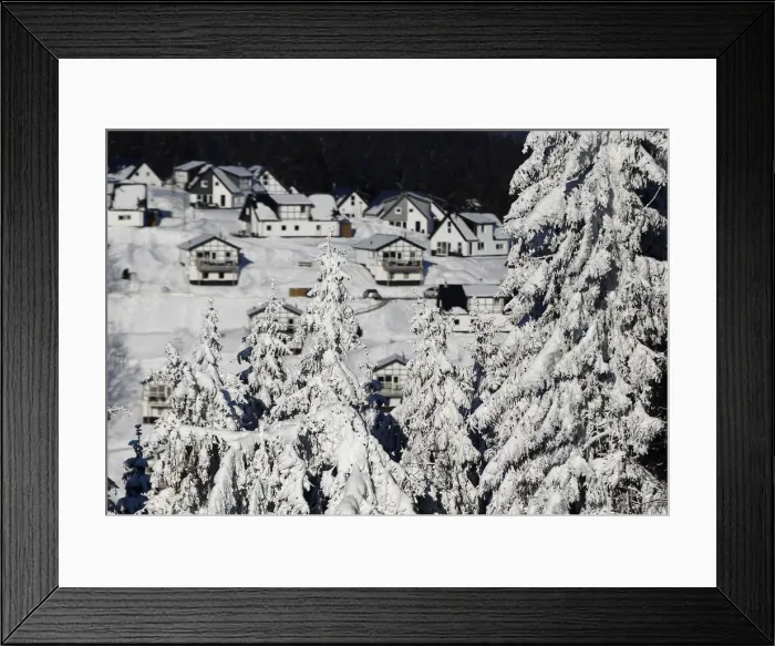 Framed Print : Snow covered trees are pictured at the skiing area of the western city Winterberg Framed Print : Snow covered trees are pictured at the skiing area of the western city Winterberg