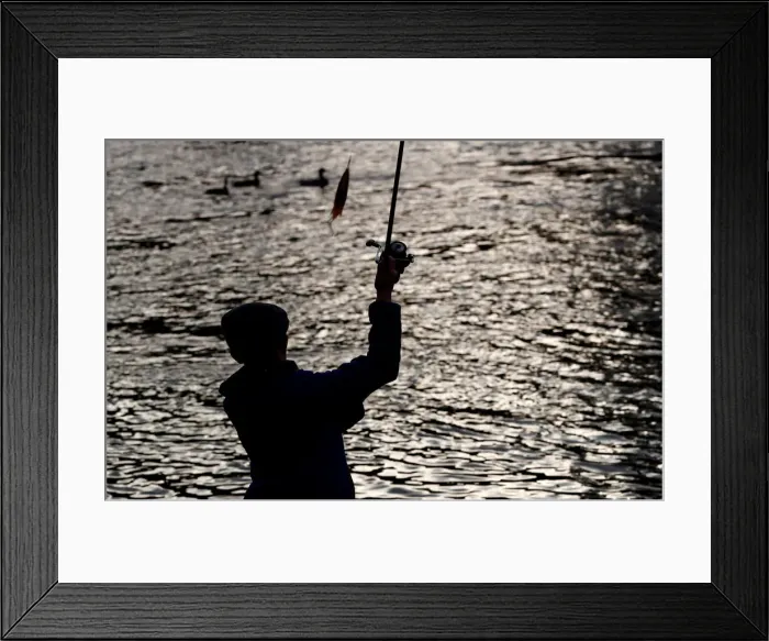 Framed Print : An angler casts his line on the opening day of the salmon fishing season on the River Tay Framed Print : An angler casts his line on the opening day of the salmon fishing season on the River Tay