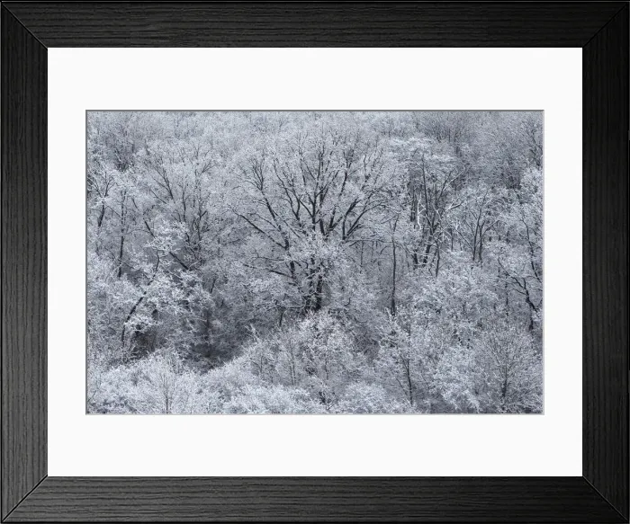 Framed Print : Snow covered trees are seen near the village of Etyek
