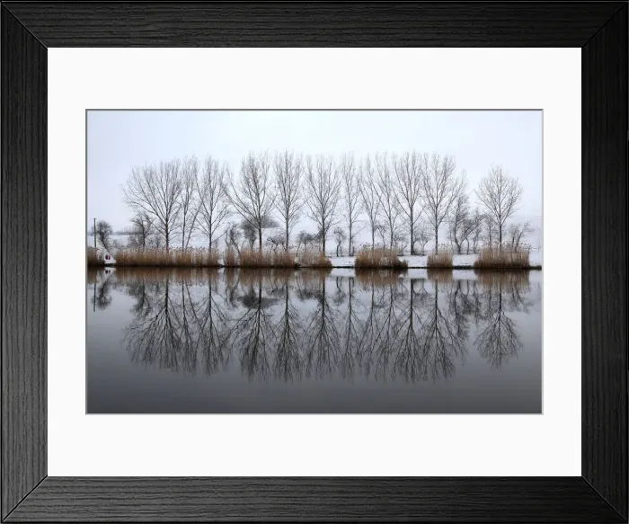 Framed Print : Trees are reflected in the water of a lake near the village of Etyek Framed Print : Trees are reflected in the water of a lake near the village of Etyek