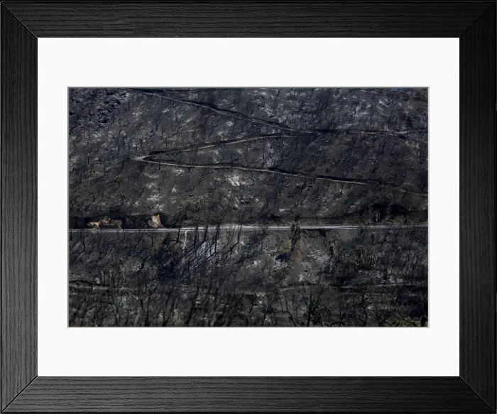 Framed Print : View of a burned forest next to the village of Monchique Framed Print : View of a burned forest next to the village of Monchique