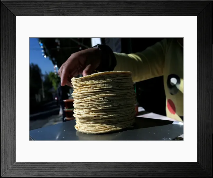 Framed Print : Woman weighs a stack of freshly made corn tortillas at factory in Mexico City Framed Print : Woman weighs a stack of freshly made corn tortillas at factory in Mexico City