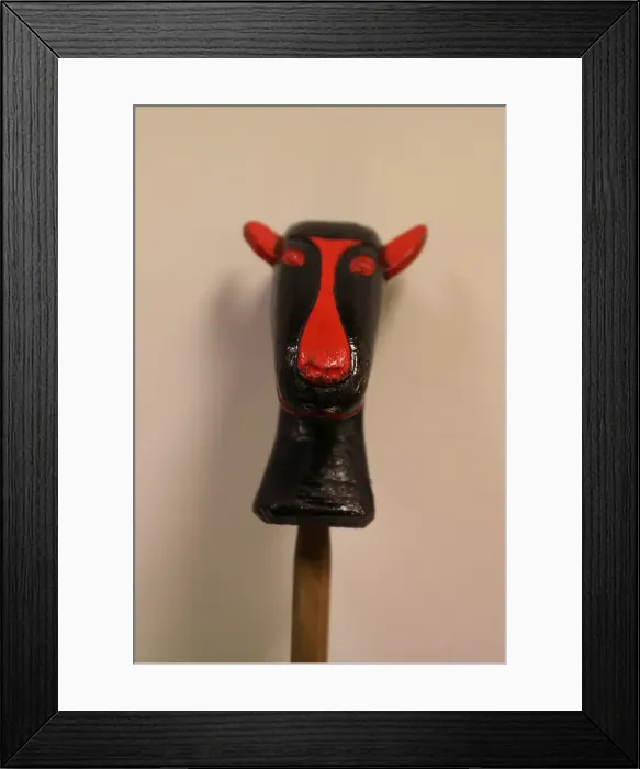 Framed Print : A figure on the top of a stick used by a believer is seen before the Endiablada Framed Print : A figure on the top of a stick used by a believer is seen before the Endiablada