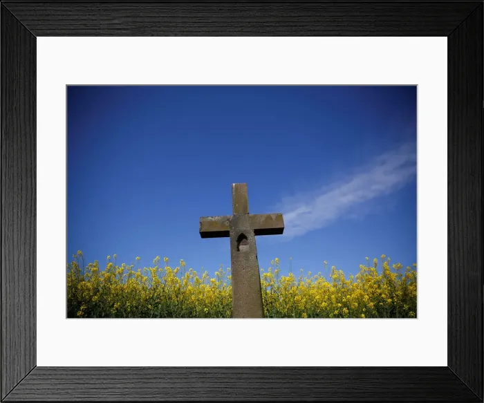 Framed Print : A rapeseed field is partially seen behind a cross in Schnersheim Framed Print : A rapeseed field is partially seen behind a cross in Schnersheim