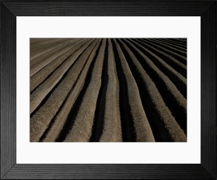 Framed Print : Furrows are seen in a field in Maccarese Framed Print : Furrows are seen in a field in Maccarese