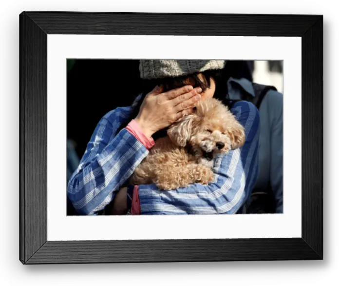 Framed Print : Woman attends a moment of silence at 2: 46 p. m. the time when the magnitude 9 Framed Print : Woman attends a moment of silence at 2: 46 p. m. the time when the magnitude 9