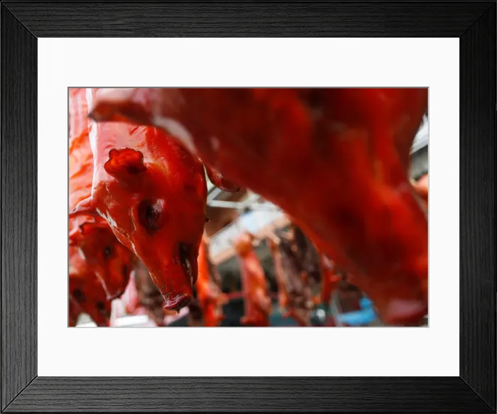 Framed Print : Grilled pigs are seen for sale along a street during Chinese Lunar New Year Framed Print : Grilled pigs are seen for sale along a street during Chinese Lunar New Year