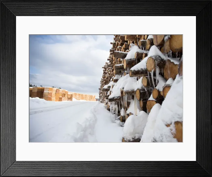 Framed Print : Green softwood lumber is stacked at Groupe Crete, a sawmill in Chertsey, Quebec Framed Print : Green softwood lumber is stacked at Groupe Crete, a sawmill in Chertsey, Quebec