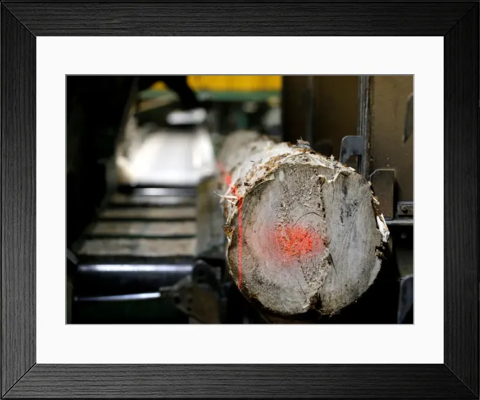 Framed Print : Softwood logs are cut into lumber at Groupe Crete, a sawmill in Chertsey, Quebec Framed Print : Softwood logs are cut into lumber at Groupe Crete, a sawmill in Chertsey, Quebec