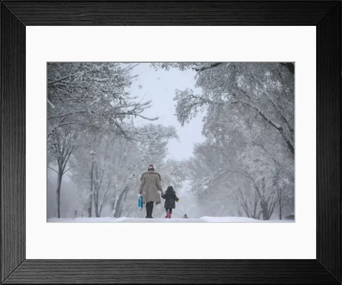 Framed Print : A woman and child walk along the side of the National Mall in Washington