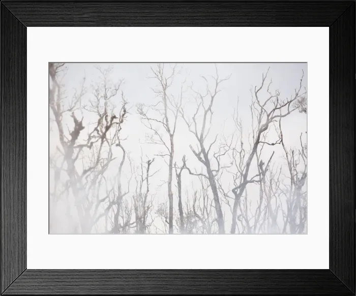 Framed Print : Volcanic gases rise from the ground in the Leilani Estates subdivision during ongoing Framed Print : Volcanic gases rise from the ground in the Leilani Estates subdivision during ongoing