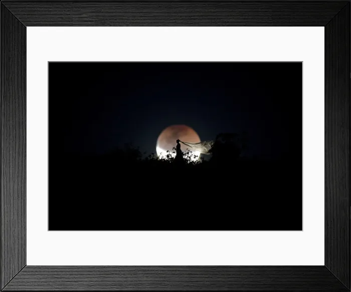 Framed Print : Pictures of the Year Framed Print : Pictures of the Year
