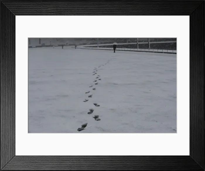 Framed Print : A man holding an umbrella makes his way in the heavy snow at the Imperial Palace in Tokyo Framed Print : A man holding an umbrella makes his way in the heavy snow at the Imperial Palace in Tokyo