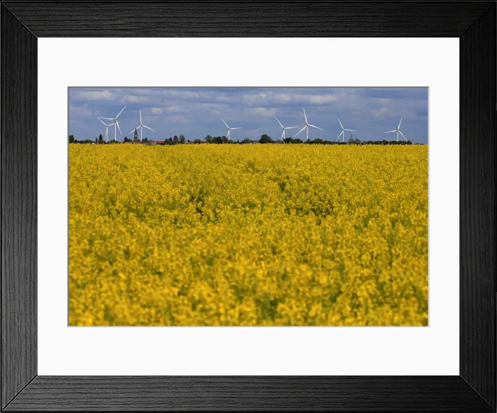Framed Print : Church and windmills of the village of Saint-Hilaire-Lez-Cambrai are seen behind a Framed Print : Church and windmills of the village of Saint-Hilaire-Lez-Cambrai are seen behind a