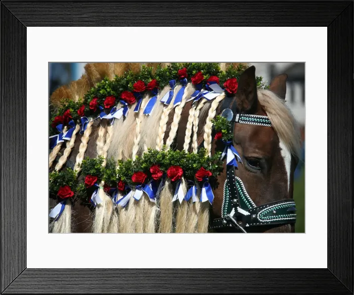 Framed Print : A decorated horse attends the traditional Georgi horse riding procession on Easter Monday Framed Print : A decorated horse attends the traditional Georgi horse riding procession on Easter Monday