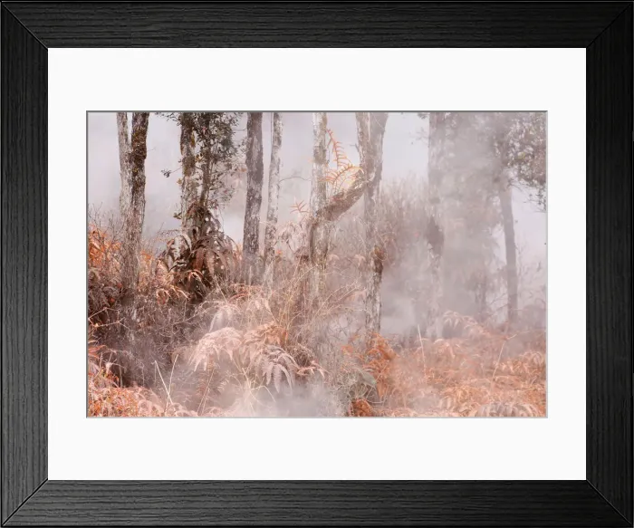 Framed Print : Volcanic gasses rise from the ground in the Leilani Estates subdivision during ongoing