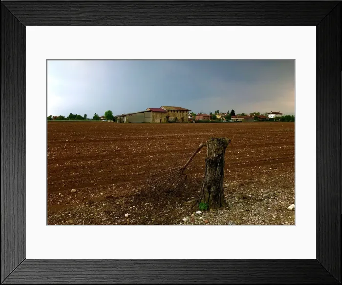 Framed Print : Storm gathers above field near Flaibano Village Framed Print : Storm gathers above field near Flaibano Village