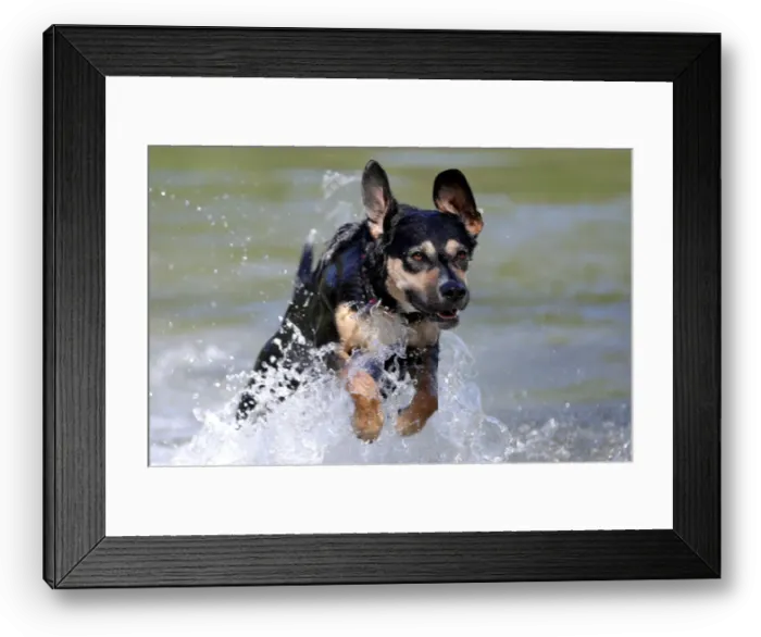 Framed Print : Spring in Vienna