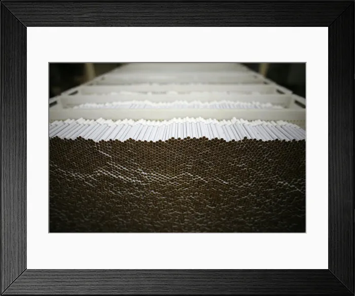 Framed Print : Cigarettes on the production line are pictured at Bulgartabaks Sofia cigarette mill