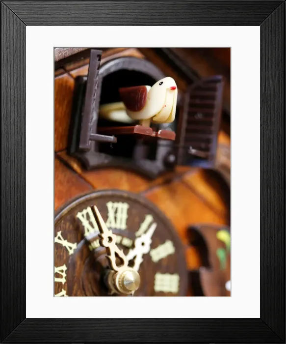 Framed Print : Bird house wall clock named Coucou is pictured in a watchmakers shop in Bordeaux Framed Print : Bird house wall clock named Coucou is pictured in a watchmakers shop in Bordeaux