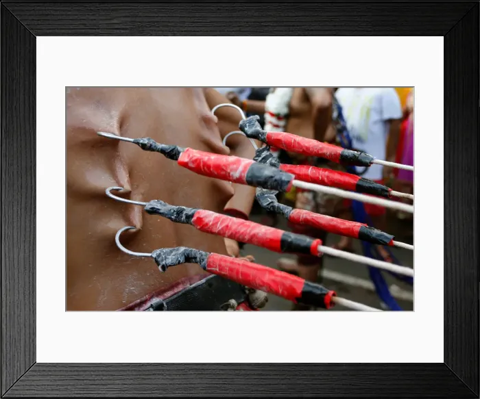 Framed Print : A Hindu devotee with hooks pierced into his back participates in a procession during