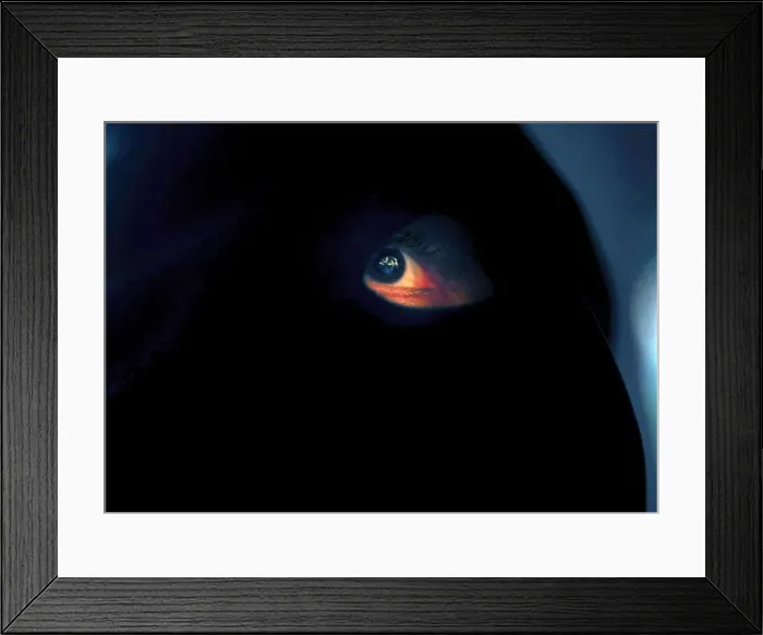 Framed Print : A Penitent takes part in the Nuestro Padre Jesus del Gran Poder y Maria Santisima de la Framed Print : A Penitent takes part in the Nuestro Padre Jesus del Gran Poder y Maria Santisima de la