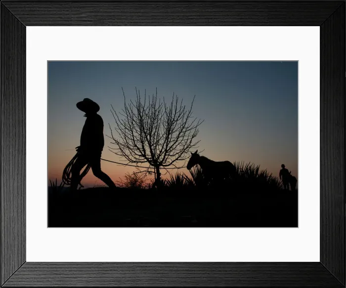 Framed Print : The Wider Image: Tequila boom rooted in traditional farming techniques Framed Print : The Wider Image: Tequila boom rooted in traditional farming techniques