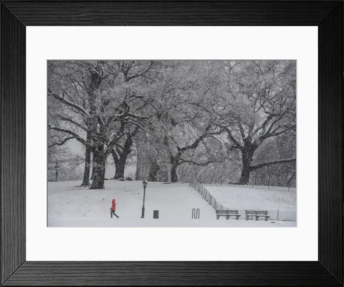 Framed Print : A person walks through the snow during a storm in the Brooklyn borough of New York City Framed Print : A person walks through the snow during a storm in the Brooklyn borough of New York City