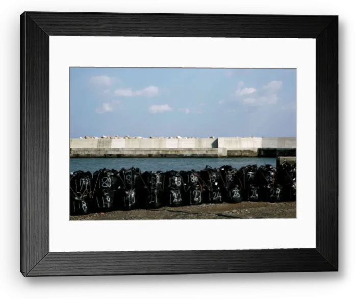 Framed Print : The Wider Image: After tsunami, some Japanese are feeling walled-in Framed Print : The Wider Image: After tsunami, some Japanese are feeling walled-in