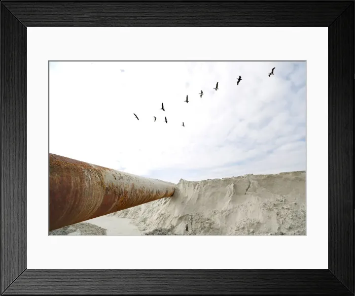 Framed Print : Pelicans fly above dredging equipment at St. Augustine Beach in Florida