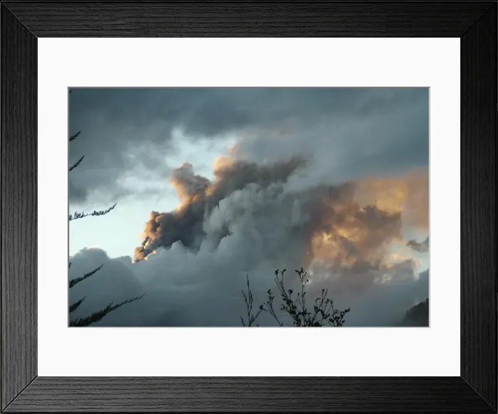 Framed Print : GM1E5471QJ801