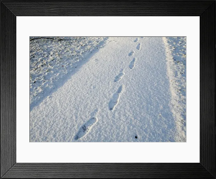 Framed Print : LM1E5150SPD01