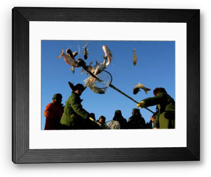 Framed Print : Rp2Dsfikkead