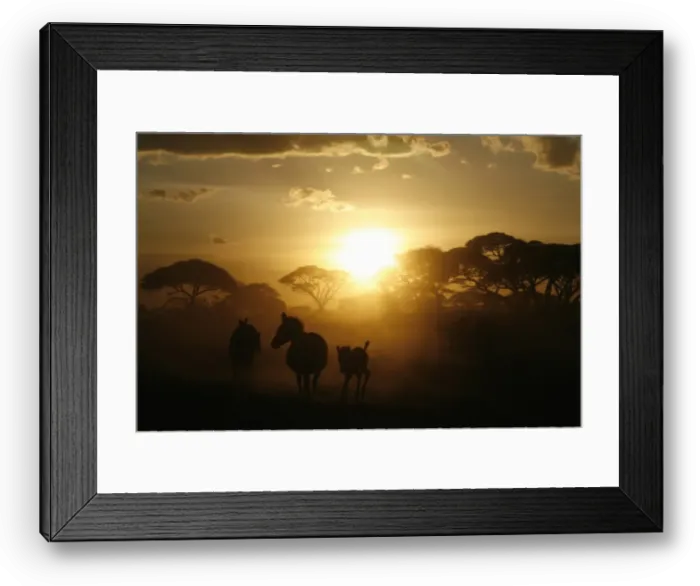 Framed Print : Gm1Duwneyfaa Framed Print : Gm1Duwneyfaa