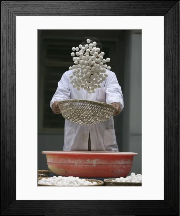 Framed Print : GM1E5251BHC01 Framed Print : GM1E5251BHC01