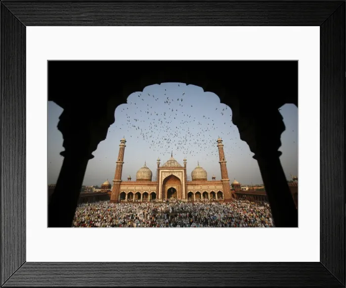 Framed Print : GM1E59L1FQY01 Framed Print : GM1E59L1FQY01