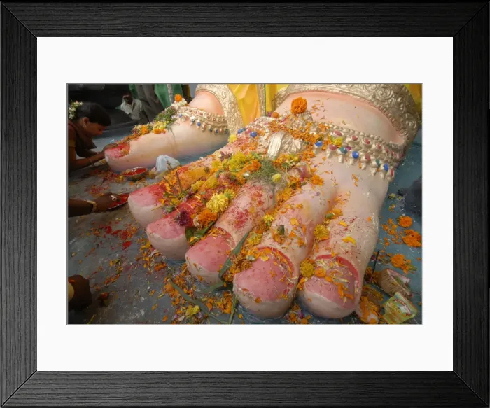 Framed Print : GM1E58N1J5C01 Framed Print : GM1E58N1J5C01