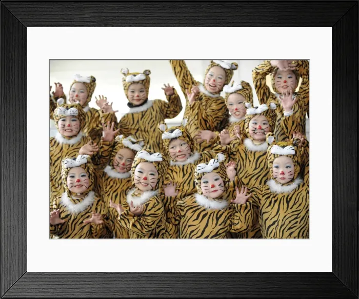 Framed Print : GM1E61R1BIL01 Framed Print : GM1E61R1BIL01