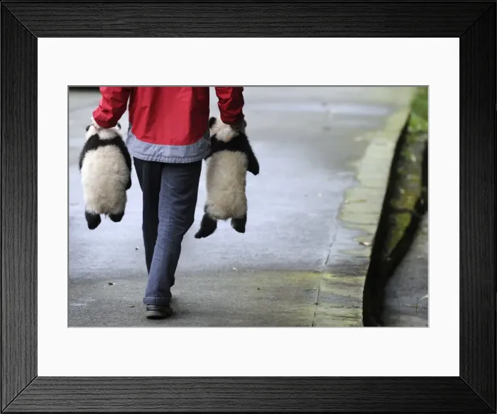 Framed Print : GM1E6BJ1EKI01 Framed Print : GM1E6BJ1EKI01