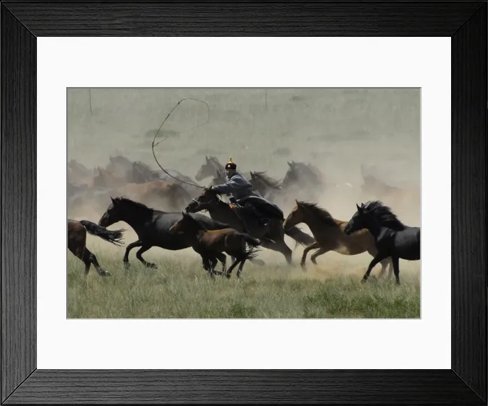 Framed Print : GM1E68118OB01