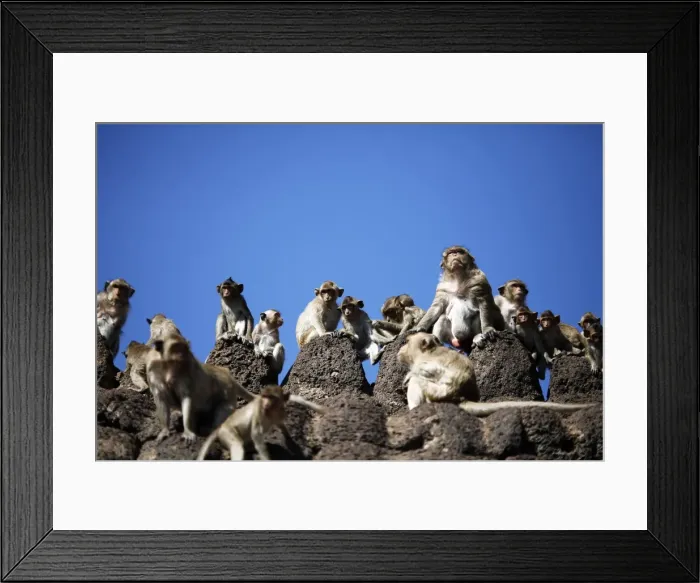 Framed Print : GM1E5BT193X01