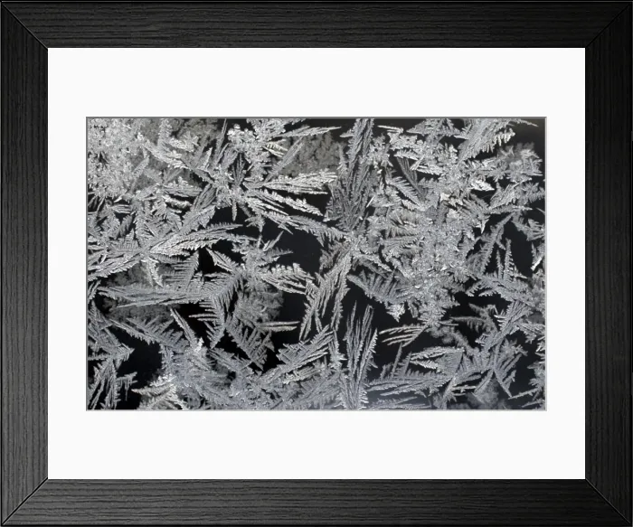 Framed Print : Gm1Dxffbdqaa Framed Print : Gm1Dxffbdqaa