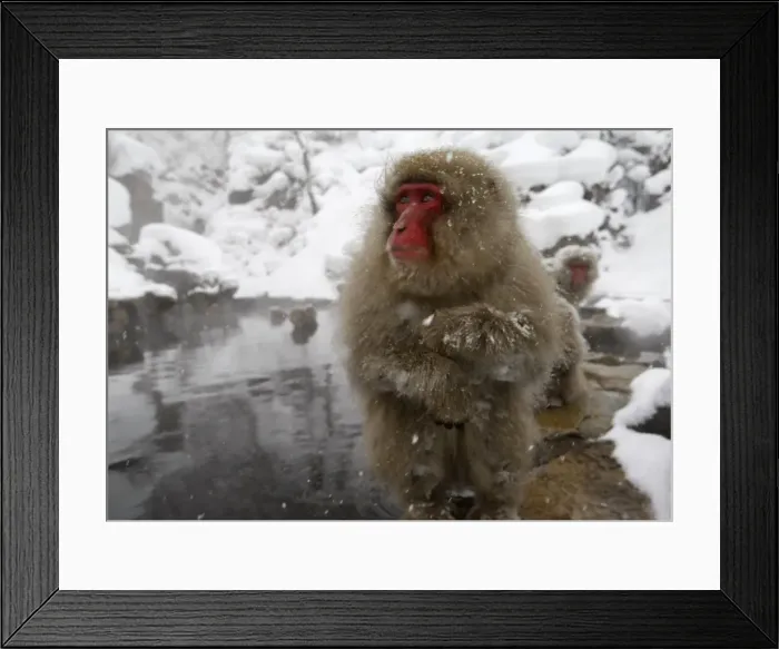 Framed Print : Gm1Dxhbhnbaa Framed Print : Gm1Dxhbhnbaa