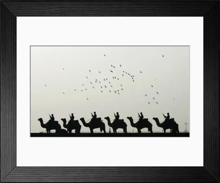 Framed Print : GM1E61L1K2Y01 Framed Print : GM1E61L1K2Y01