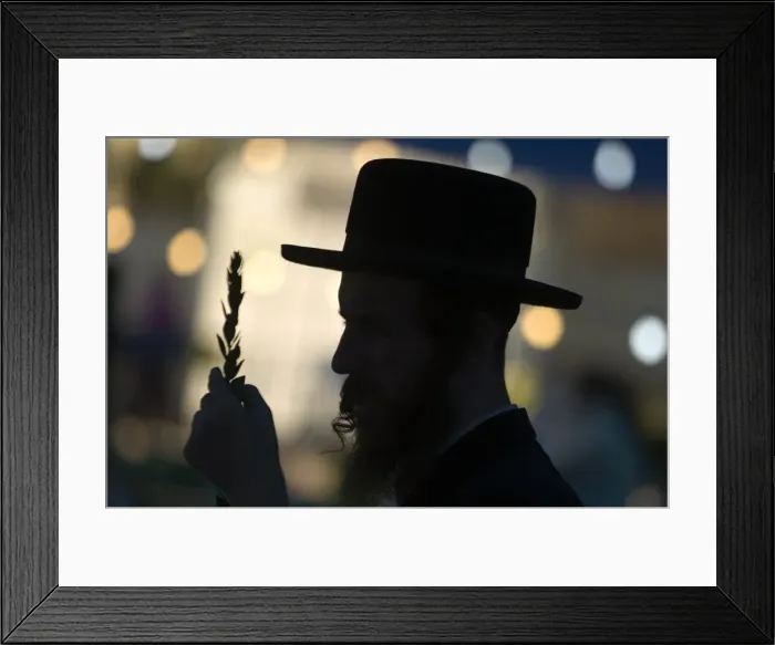 Framed Print : GM1E69K03OJ01