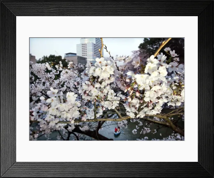 Framed Print : Gm1Dsgpyltaa Framed Print : Gm1Dsgpyltaa