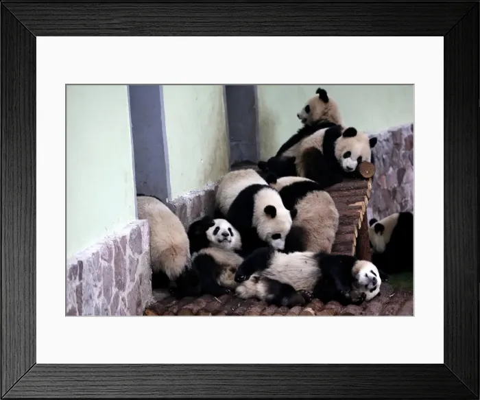 Framed Print : GM1E61K1GXK01 Framed Print : GM1E61K1GXK01